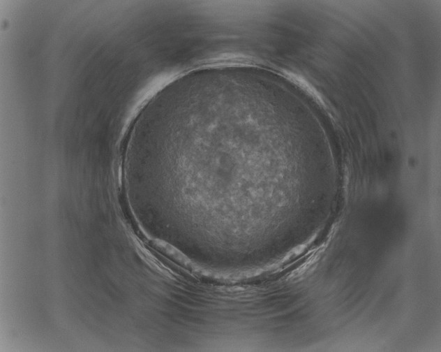 X0000067481413200604071127