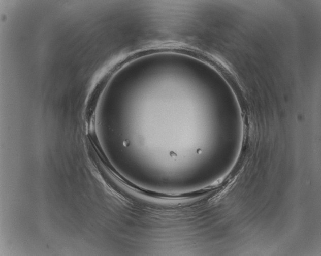 X0000067481414200604071127