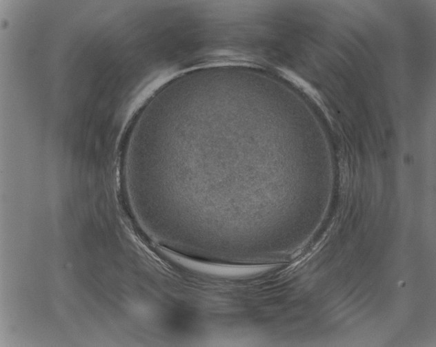 X0000067481415200604071127