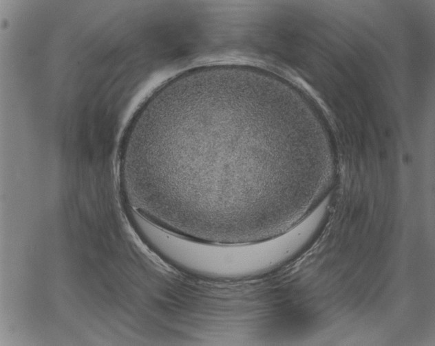 X0000067481416200604071127