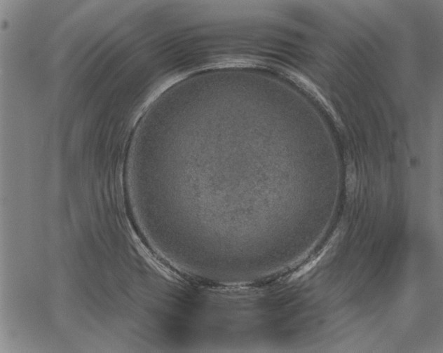 X0000067481417200604071127