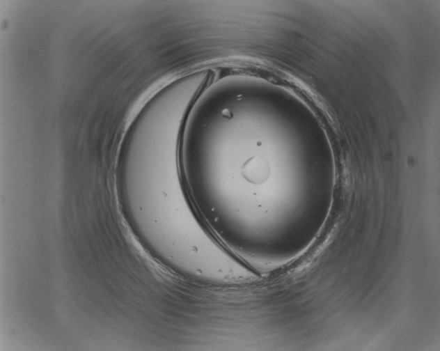 X0000067481418200604071127