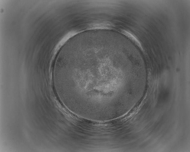 X0000067481419200604071127