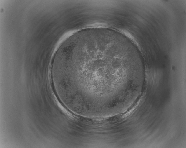 X0000067481421200604071127