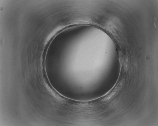 X0000067481422200604071127