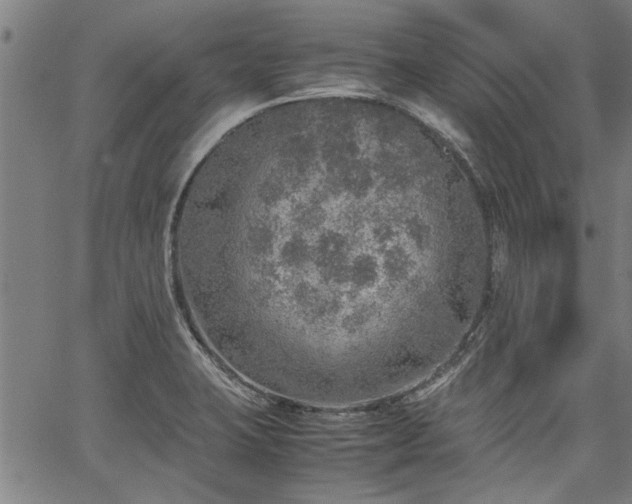 X0000067481423200604071127