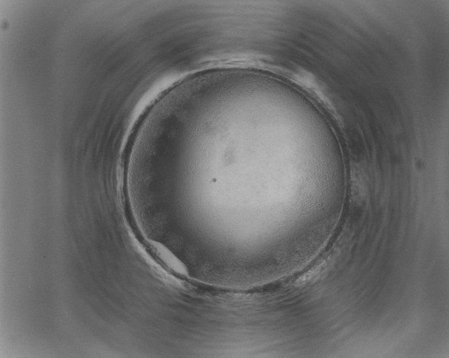 X0000067481424200604071127