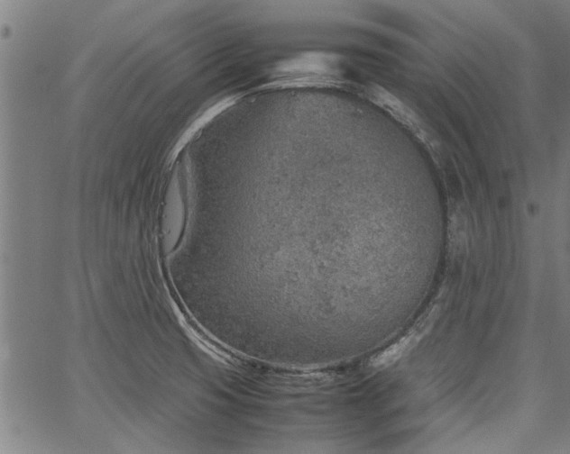 X0000067481425200604071127