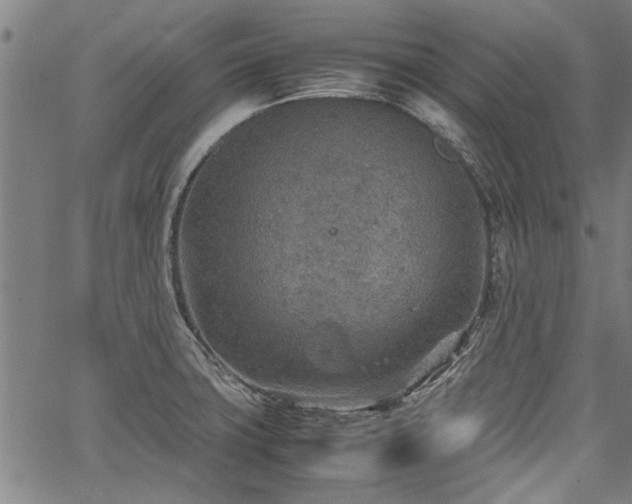 X0000067481427200604071127