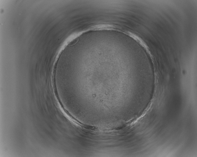 X0000067481429200604071127