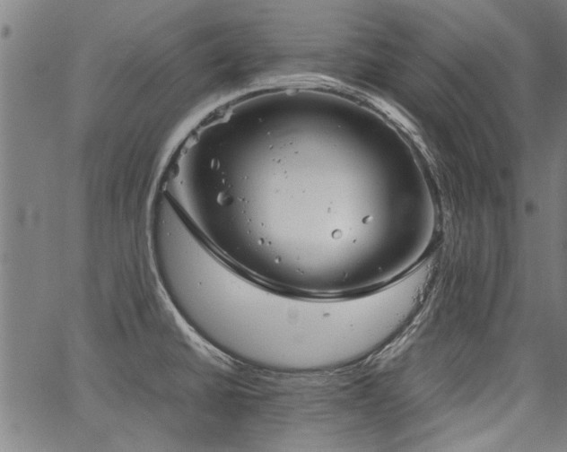 X0000067481430200604071127