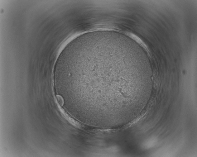 X0000067481431200604071127