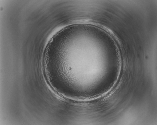 X0000067481432200604071127