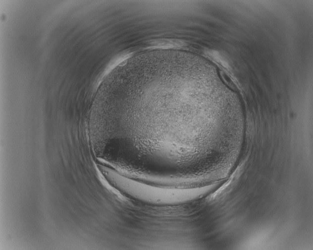 X0000067481433200604071127