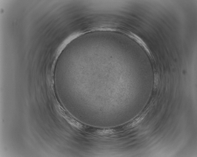 X0000067481435200604071127