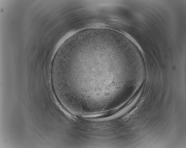 X0000067481437200604071128