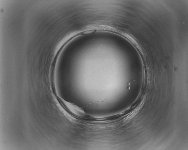 X0000067481438200604071128