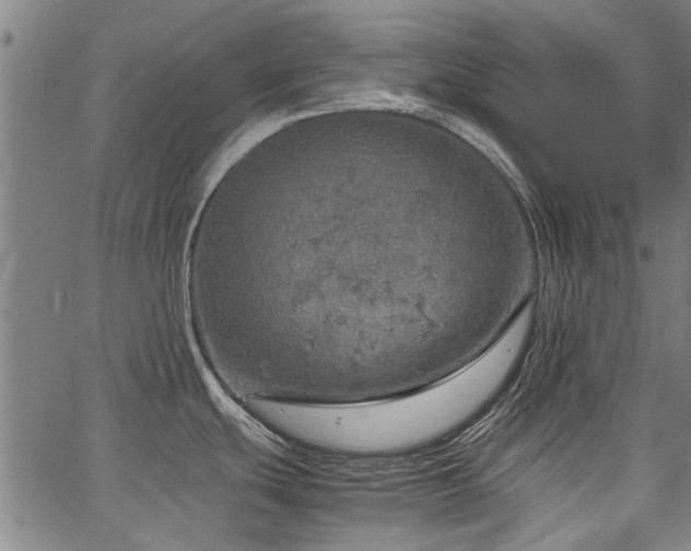 X0000067481439200604071128