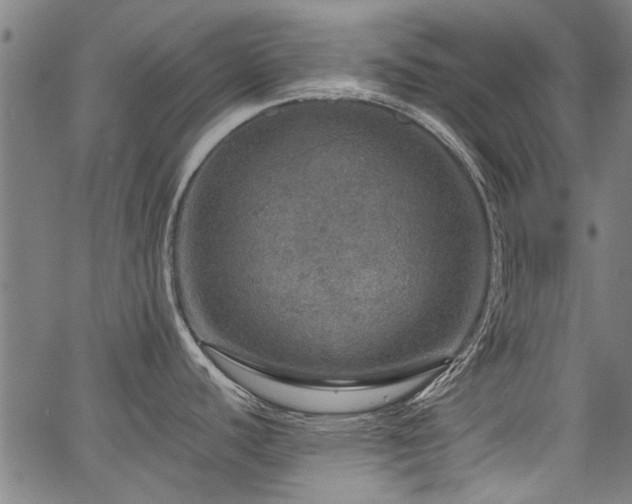 X0000067481440200604071128