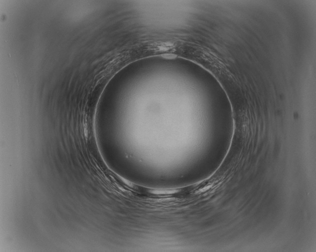 X0000067481442200604071127