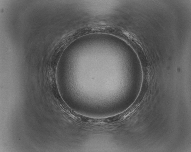 X0000067481445200604071127