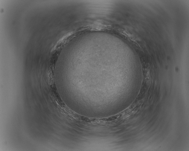 X0000067481446200604071127