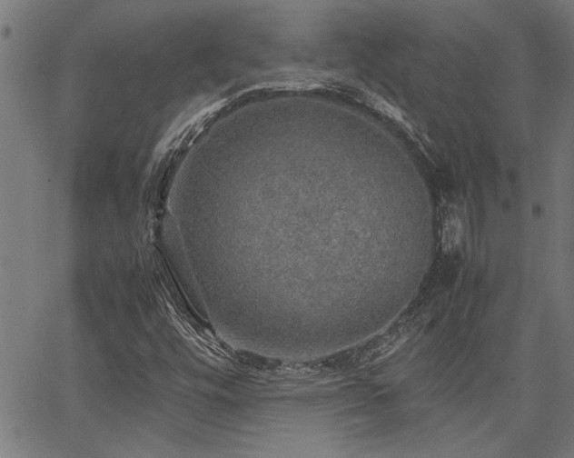 X0000067481448200604071127