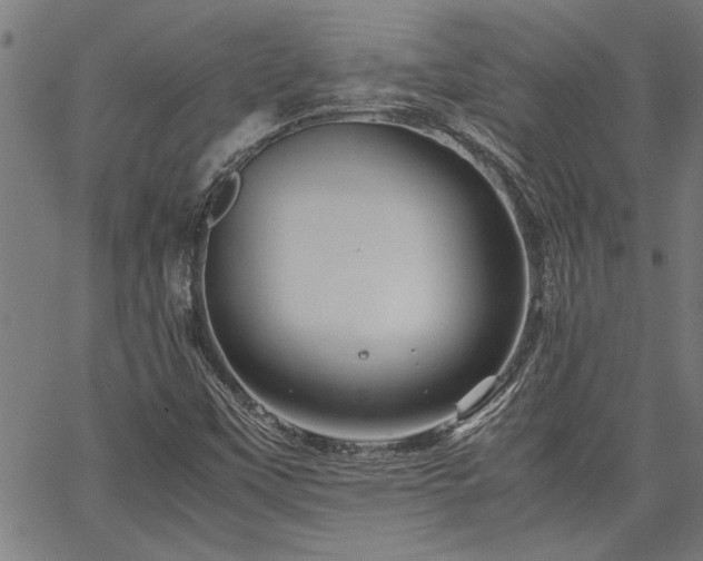 X0000067481451200604071127