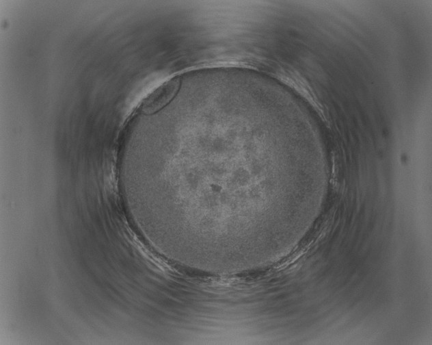 X0000067481452200604071127