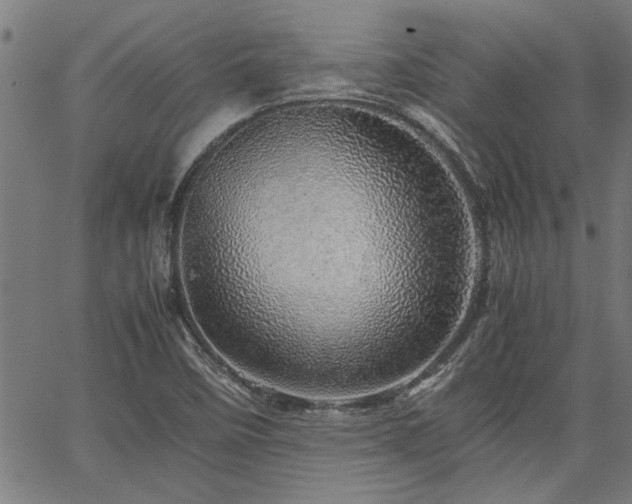 X0000067481458200604071127