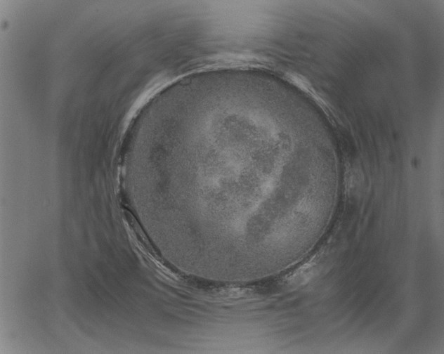 X0000067481459200604071126