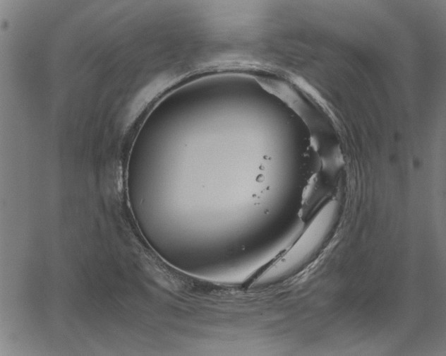 X0000067481461200604071126