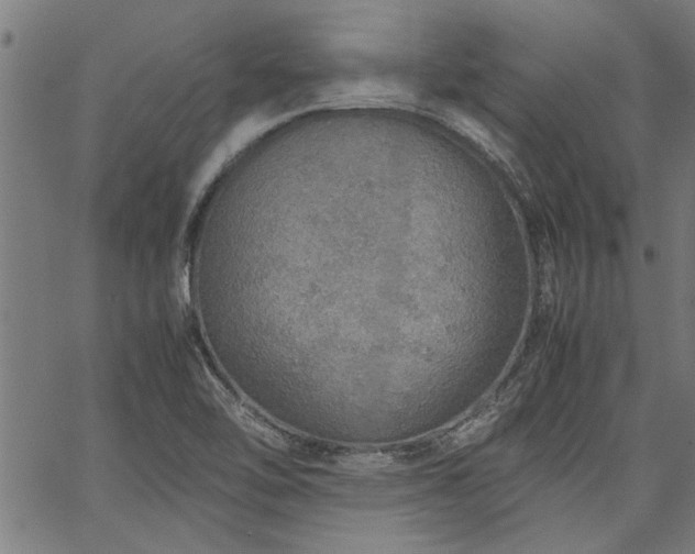 X0000067481462200604071126