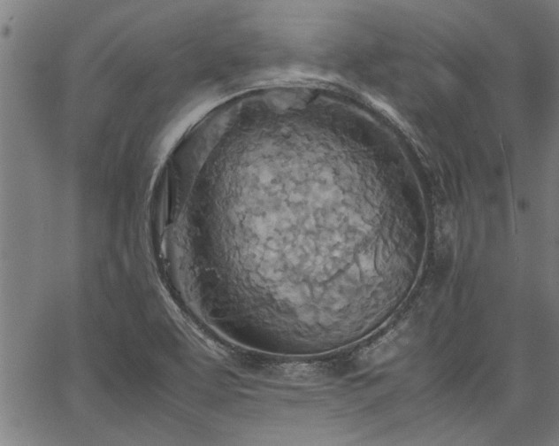 X0000067481463200604071126