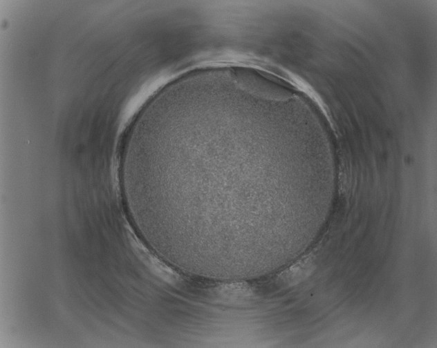 X0000067481464200604071126