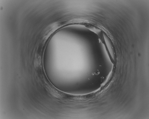 X0000067481465200604071126