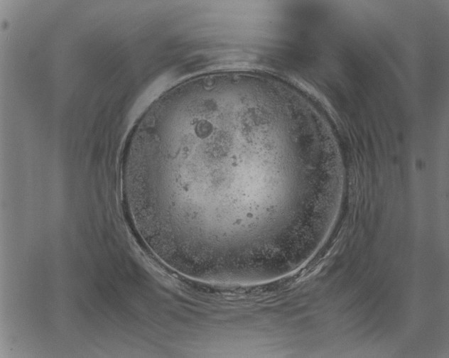 X0000067481467200604071126