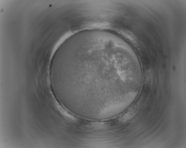 X0000067481470200604071126