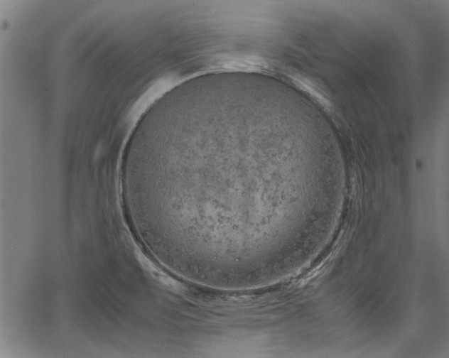 X0000067481471200604071126