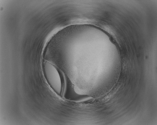 X0000067481472200604071126