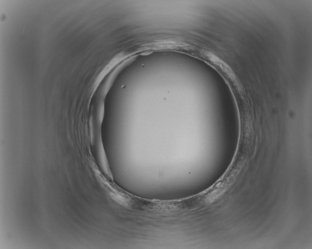 X0000067481473200604071126