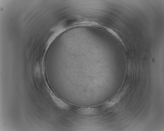 X0000067481474200604071126