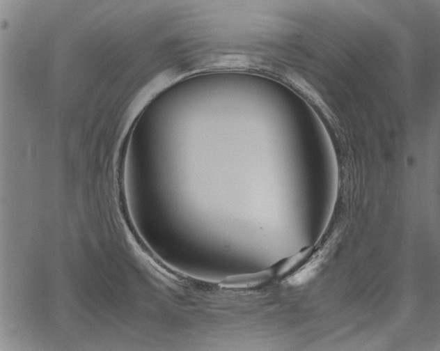 X0000067481475200604071126