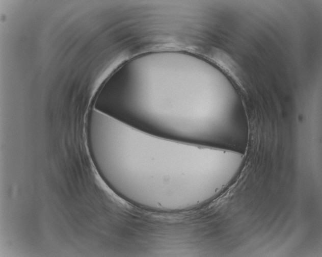 X0000067481476200604071126