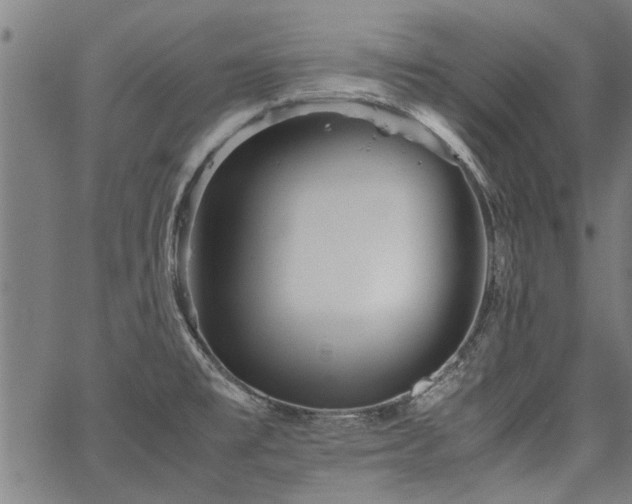 X0000067481477200604071126