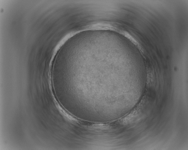 X0000067481478200604071126