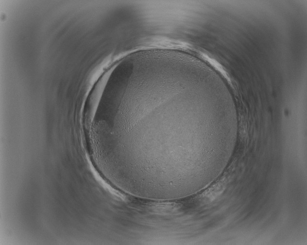 X0000067481479200604071126