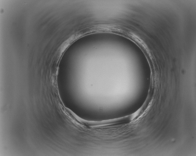 X0000067481481200604071126