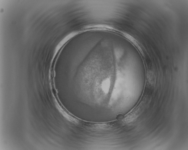 X0000067481482200604071126