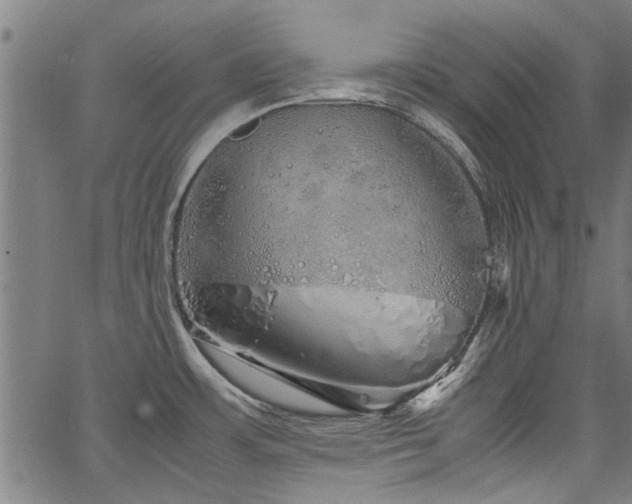 X0000067481483200604071126